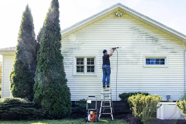 Best Roof Pressure Washing  in Grand Marais, MN