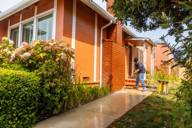 Best Exterior Home Cleaning  in Grand Marais, MN