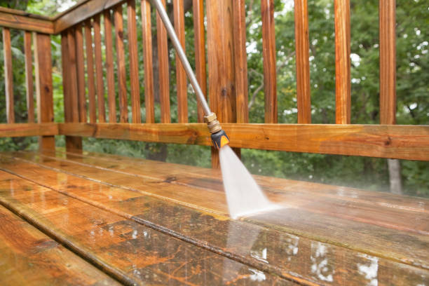 Best Deck Cleaning Services  in Grand Marais, MN