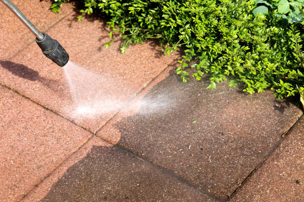 Best Affordable Pressure Washing  in Grand Marais, MN